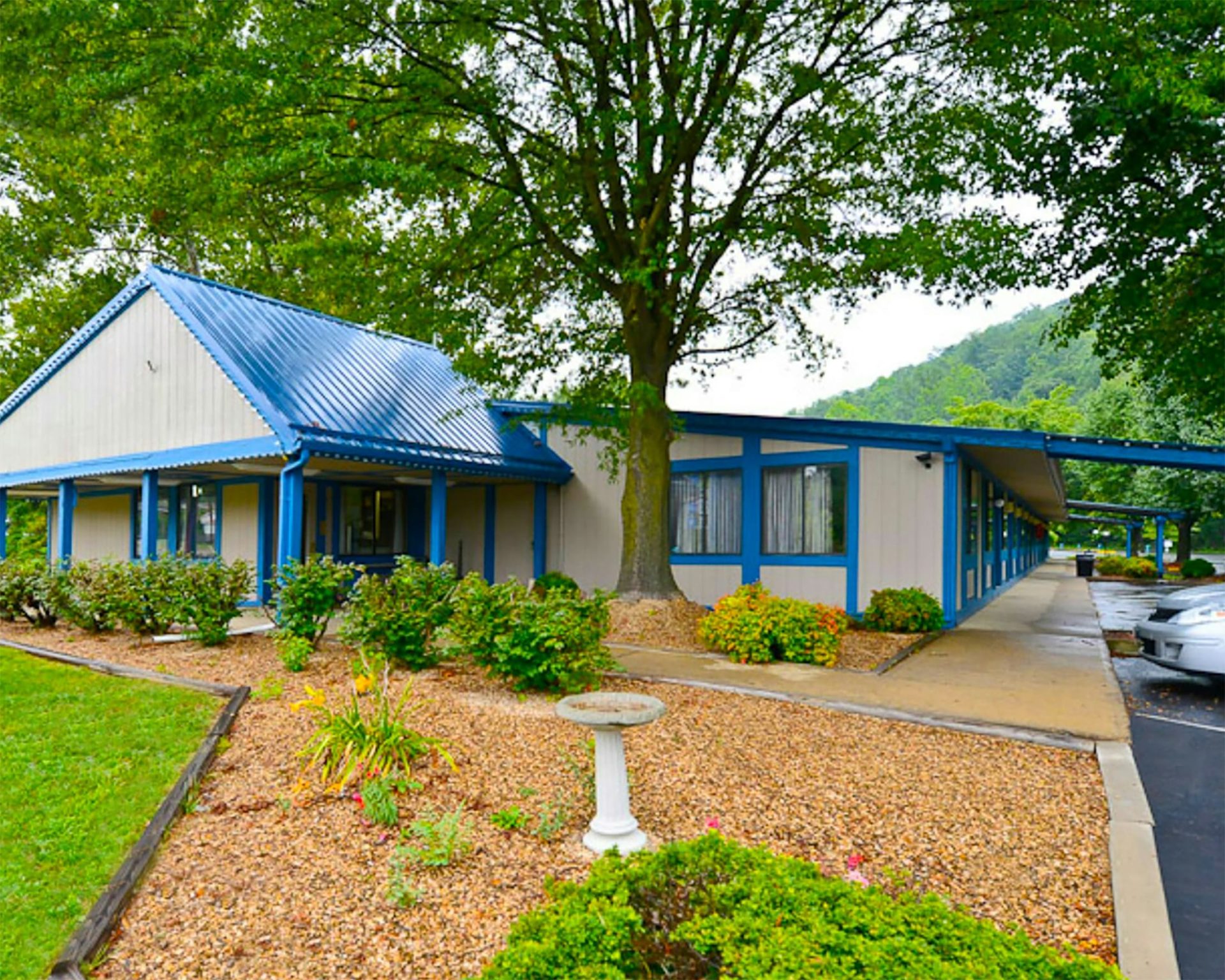 Motel building with blue metal roof, large tree, and landscaped garden beds.