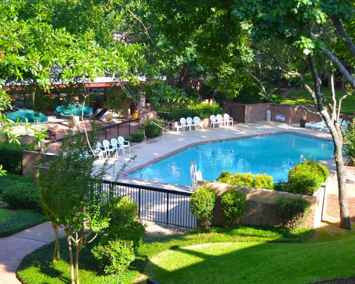 Sunny hotel outdoor pool area with lounge chairs and lush greenery.