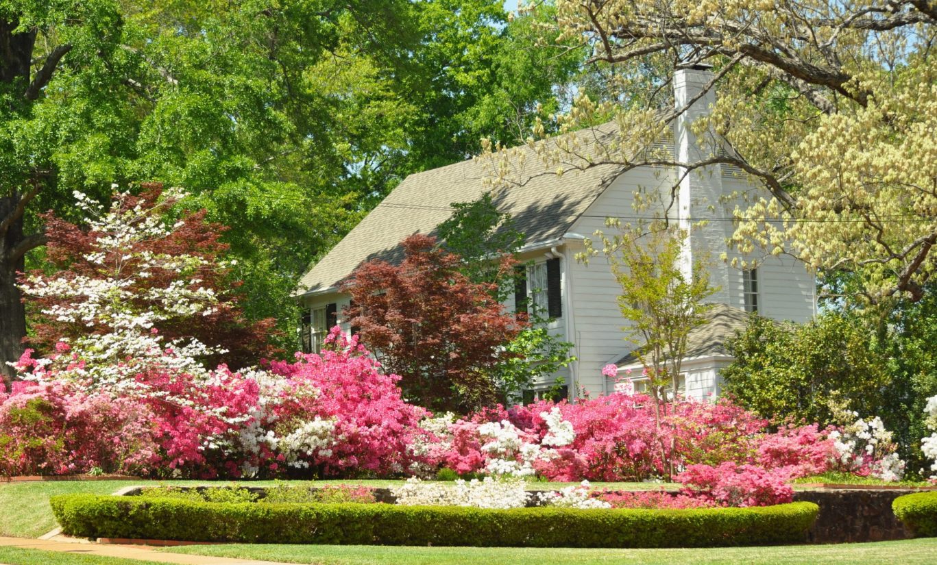 Charming white house with colorful blooming azaleas and manicured garden.