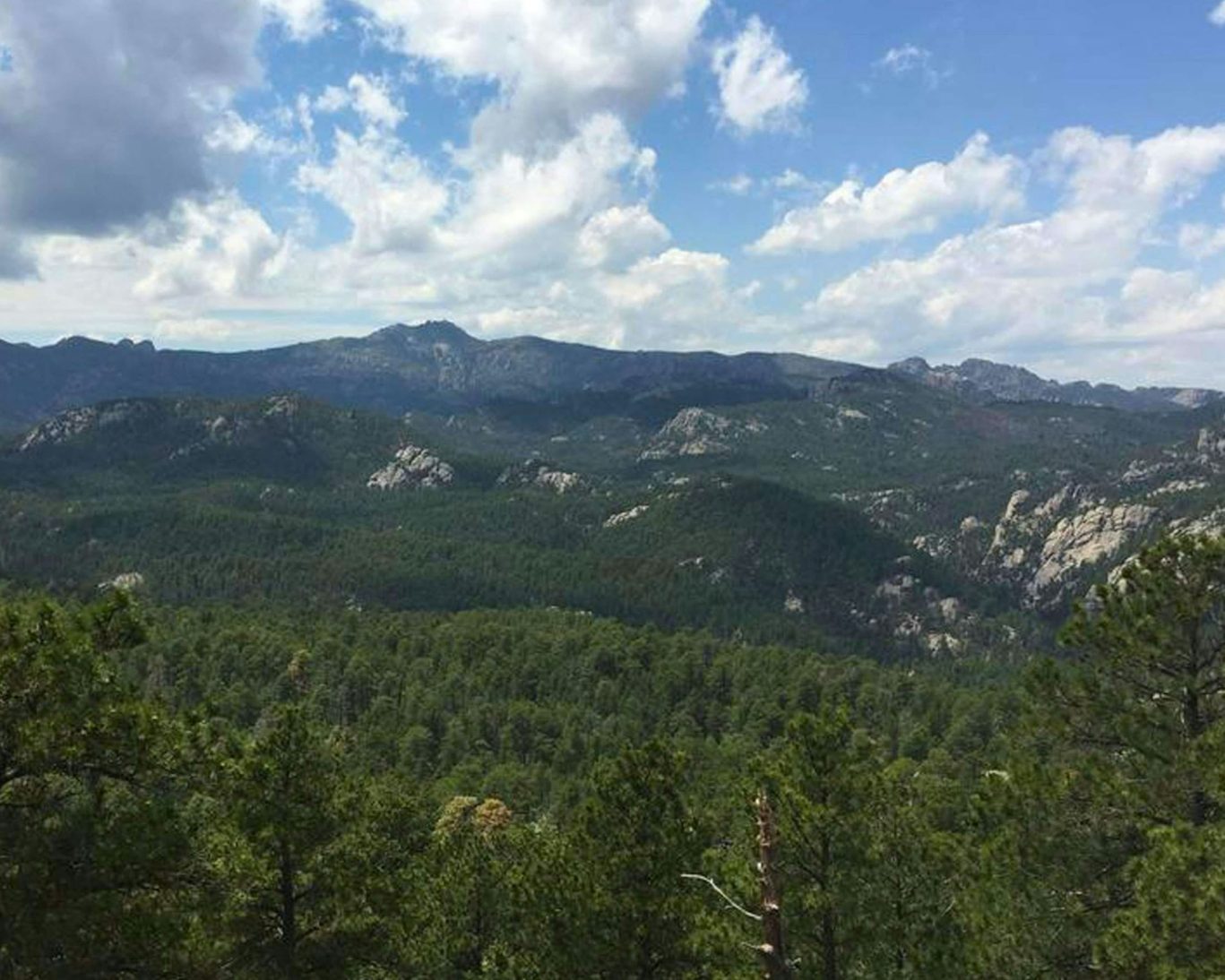 Panoramic view of the Black Hills mountain range in South Dakota under a partly cloudy sky.