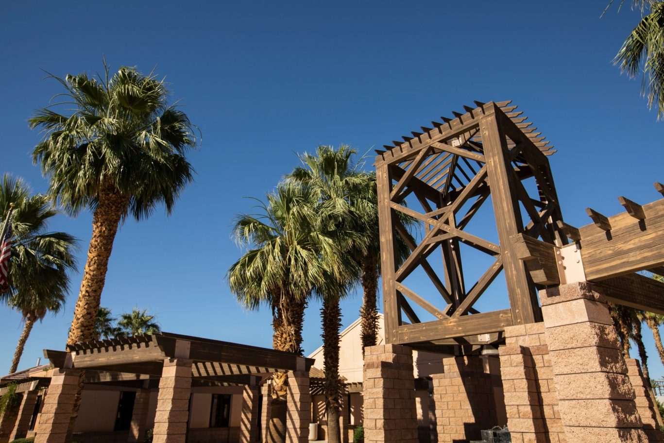 Modern wooden architecture surrounded by tall palm trees in Blythe, California.
