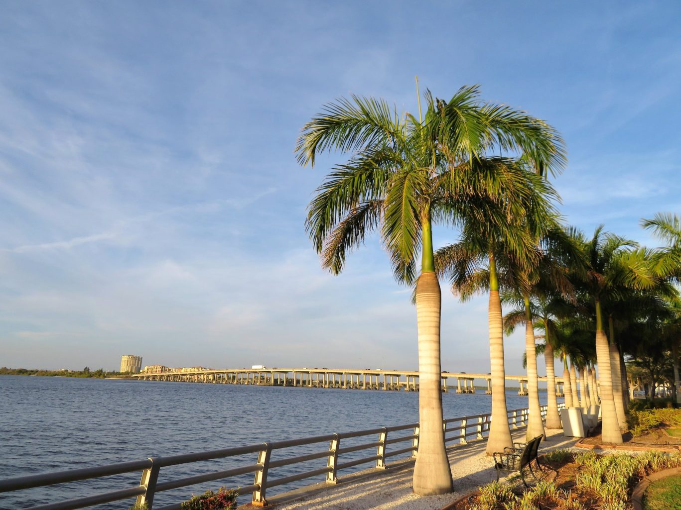 Scenic palm-lined waterfront walking path near Magnuson Hotel location.