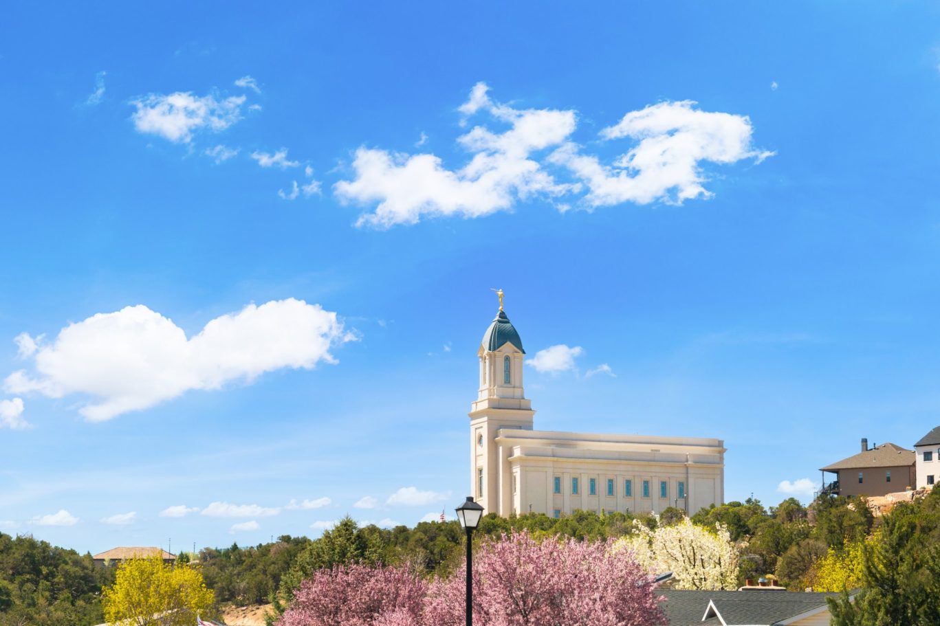 Cedar City LDS Temple with spring blossoms and blue sky.