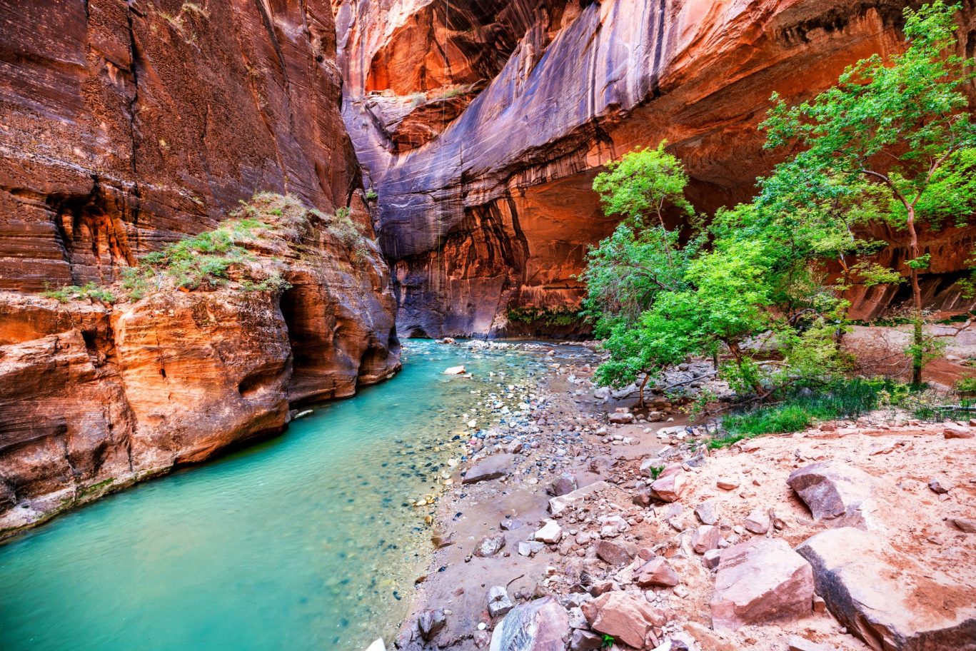 The Narrows hiking trail with river and red canyon walls in Zion National Park.