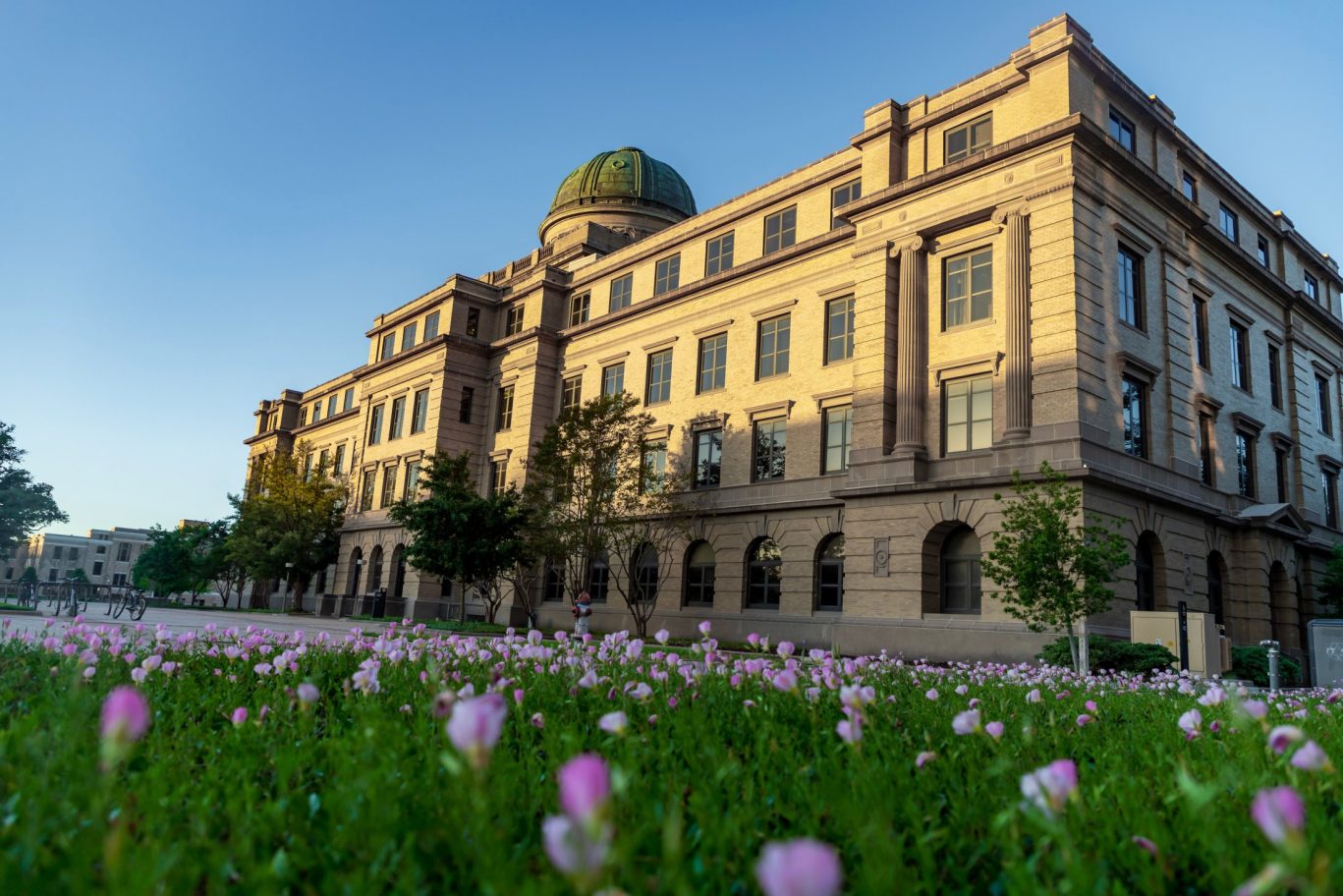Texas A&M University Academic Building with dome and wildflowers near Magnuson Hotel Commerce.