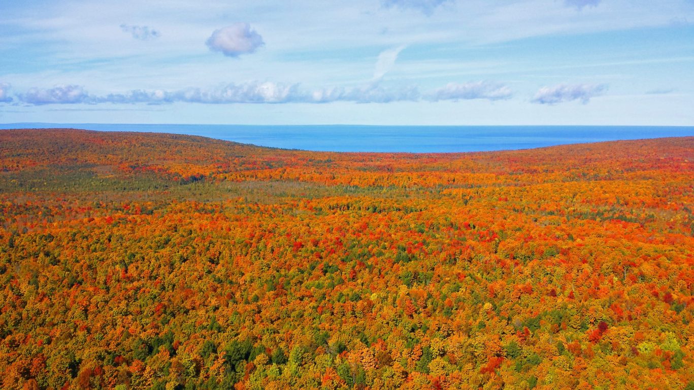 Colorful fall foliage near Lake Superior with vibrant orange and red trees stretching to the horizon.