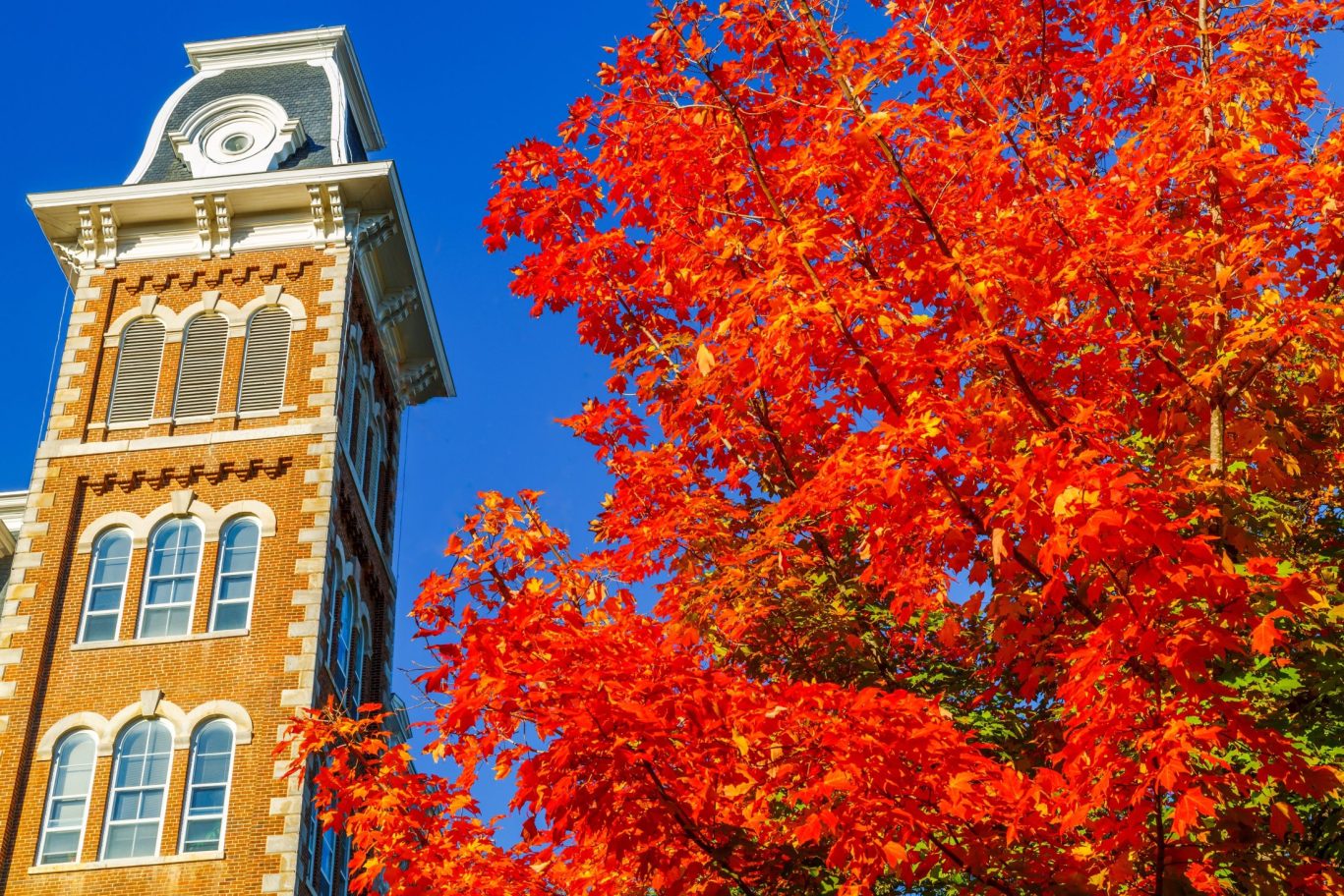 Historic brick tower and vibrant red fall foliage in Fayetteville, Arkansas.