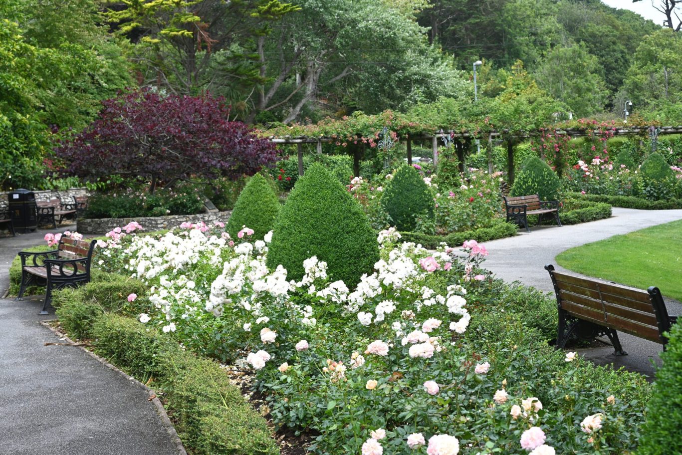 Beautiful rose garden with manicured flower beds, benches, and lush greenery in a public park.