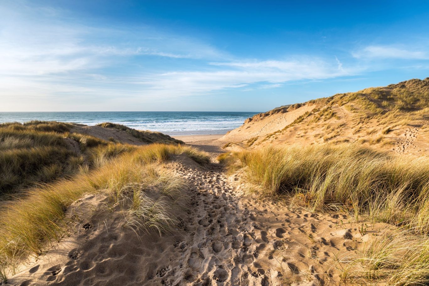 Scenic sandy path through grassy dunes leading to a quiet beach and ocean horizon.