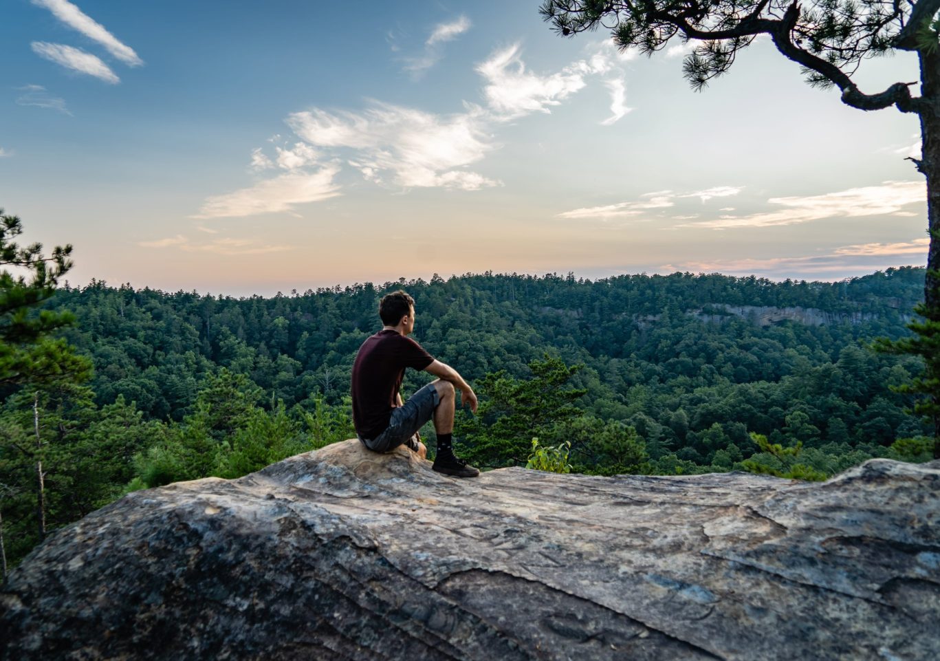 Man sitting on rocky overlook admiring forested landscape at sunset.