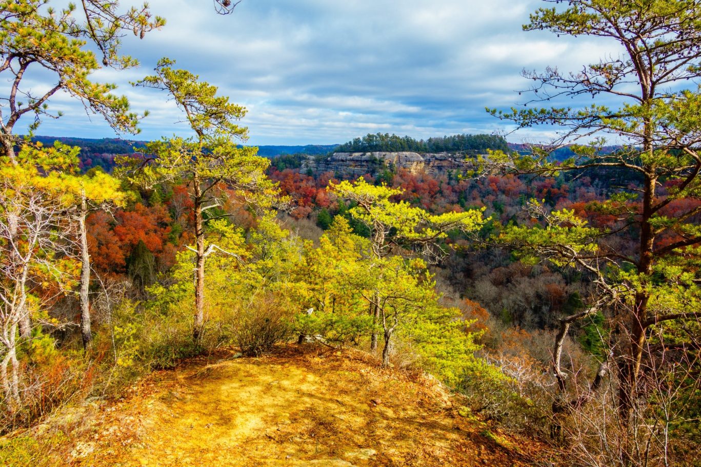 shutterstock_2340200509 – Scenic view of Ravens Rock from the Auxier Ridge Trail in Red River Gorge, Kentucky