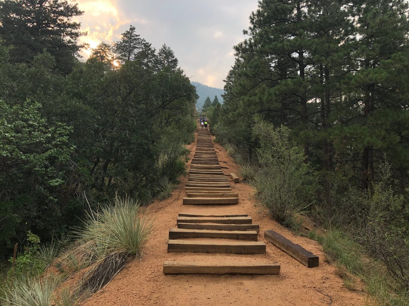 Manitou Incline hiking trail with wooden steps surrounded by pine trees in Manitou Springs Colorado.