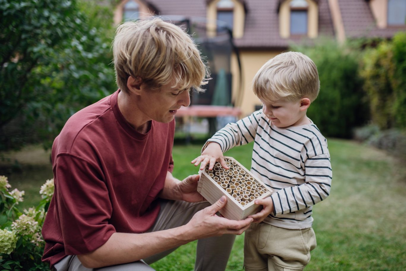 Father and young son building a bug hotel in the garden, learning about biodiversity.